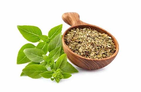 تصویر 4 از خرید و قیمت سبزی ریحان خشک سوپر صادراتی + فروش عمده